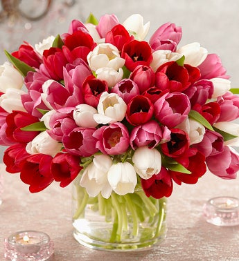 Red, Pink, and White Tulips, 60 for $60