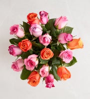 Rose of the Month