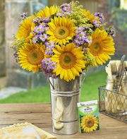 Hello Sunshine? + Free Gift