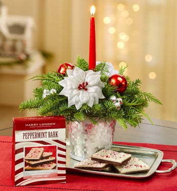 Season?s Greetings Evergreen Centerpiece