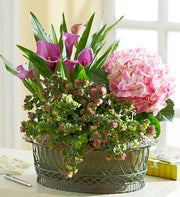 Bountiful Blooming Garden