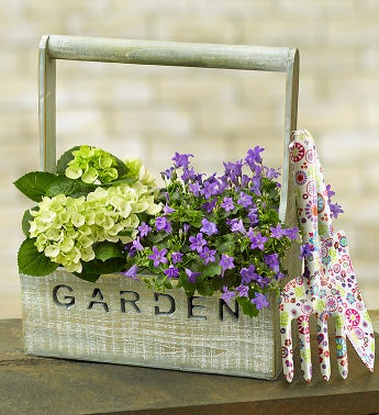 Gardening Delight