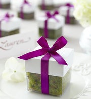 Purple Ribbon Oak Tree Seedlings