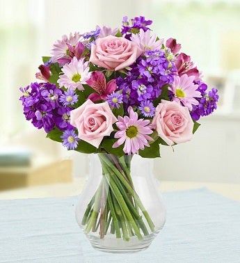 Lavender Dreams?