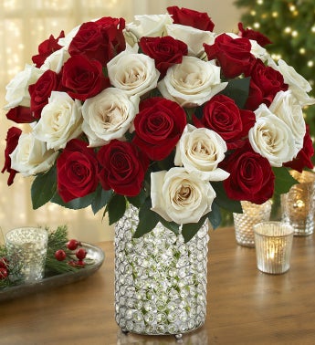 Peppermint Rose Bouquet, 36 Stems with Prism Vase