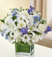 Blue and White Cube Arrangement