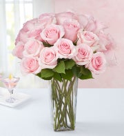 Pink Petal Roses, 12-24 Stems + Free Vase