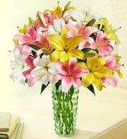 Sweet Spring Lilies, 25-50 Blooms