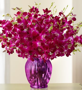 Exotic Breeze? Orchids