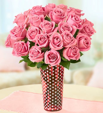 Pink Roses, Buy 12 Get 12 Free