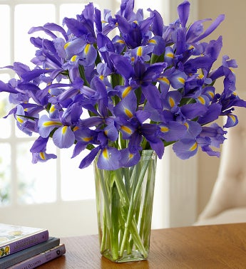 Spring Country Iris Bouquet + Free Vase
