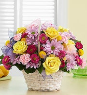 International England - Bountiful Basket