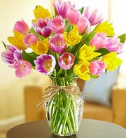 International England - Timeless Tulips