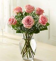 Love?s Embrace? Pink Roses