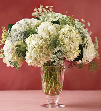 queen anne39;s lace and hydrangea bouquet