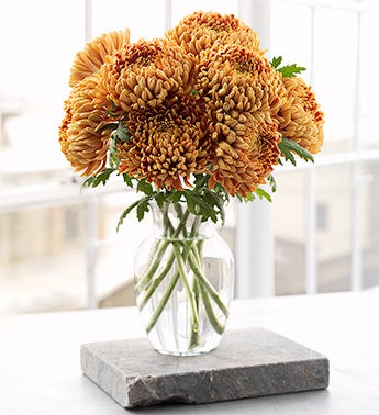 'Blaze'  Chrysanthemums - 10 Stems