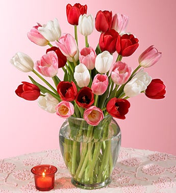 red, pink and whjite tulip bouquet - 30 Stems