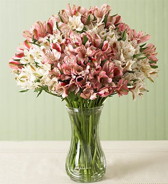 30 stems pink and white lilies