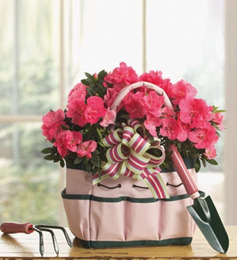 pink azalea in pink gardening tote