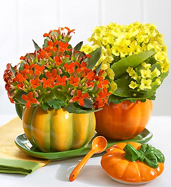 Pumkin Sugar Creamer Set