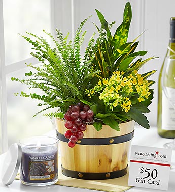 Cabernet Dish Garden