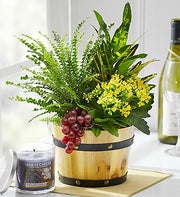 Cabernet Dish Garden