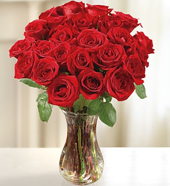 /two dozen long stem red roses