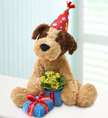 Birthday Puppy