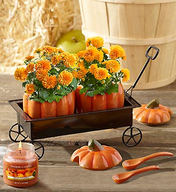 Festive Fall Pumpkin Hayride