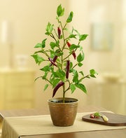 Faux Potted Pepper Plant