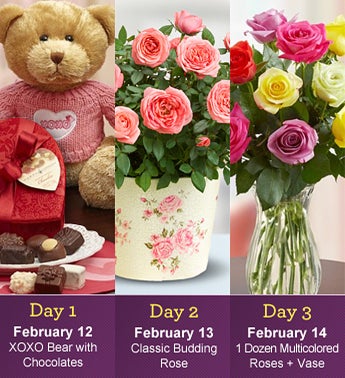 Three Days of Love