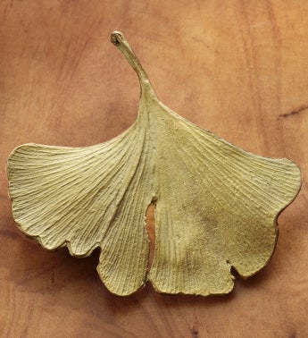 Gingko Pin