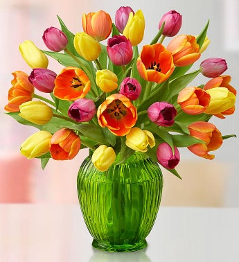 Spectacular Spring Tulips, 15-30 Stems
