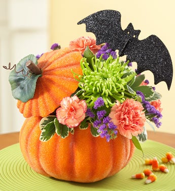 Halloween Treat from 1800flowers