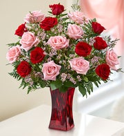Shades of Pink and Red? Premium Long Stem Roses