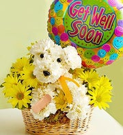 Sick As A Dog?