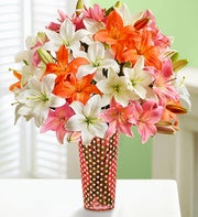 Vibrant Summer Lilies, 25-50 Blooms