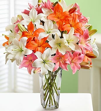 Vibrant Lily Bouquet + Free Clear Vase