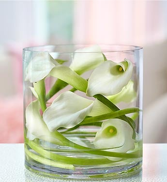 Mini Calla Wrapped in Cylinder