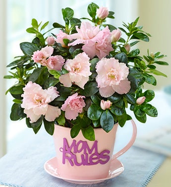 Mom's Tea Party
