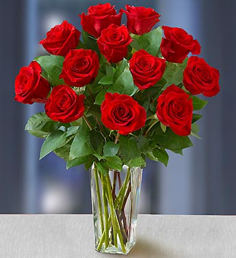 زهور وورود Flowers roses