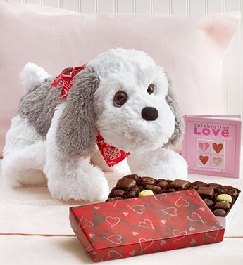 Sweet Puppy with Free Chocolate