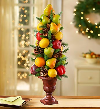 Fruit Cone Tree