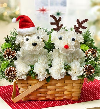 Santa Paws and His Best Reindeer?