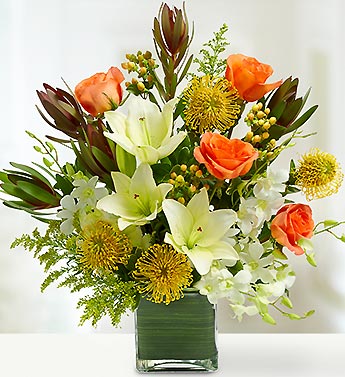 Dee's Tropical Paridise
