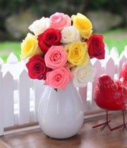 One Dozen Assorted Roses