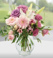 Pastel Pink