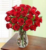 24 Red Roses