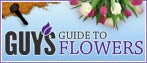 Guys Guide