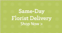 Same-Day Florist Delivered. Shop Now 